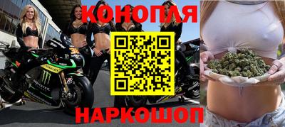 прущие крисы Новозыбков