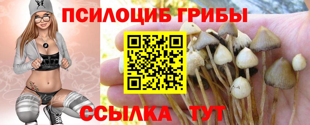 Галлюциногенные грибы ЛСД Шебекино