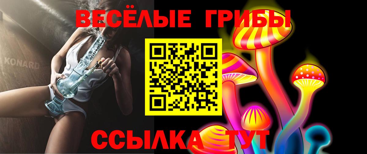 Галлюциногенные грибы MAGIC MUSHROOMS  Вход с VPN  Галлюциногенные грибы Magic Shrooms  Шебекино 