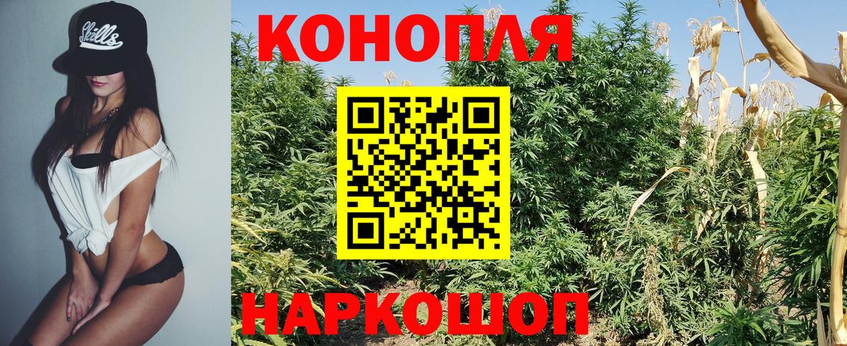 МАРИХУАНА OG Kush  Вход с VPN  Шебекино  Марихуана план 